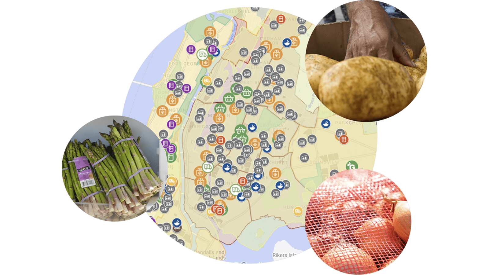 An image of a map of the boroughs with three call-outs showing different vegetables